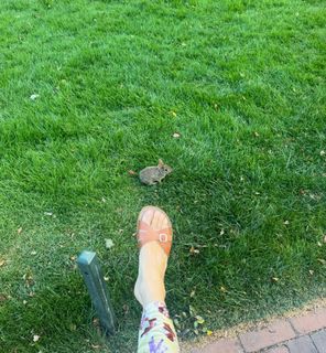 Chloë Sevigny feet photo 4