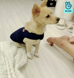 Chou Tzu-Yu feet photo thumbnail