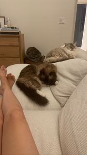 Chrissy Blair feet photo 13