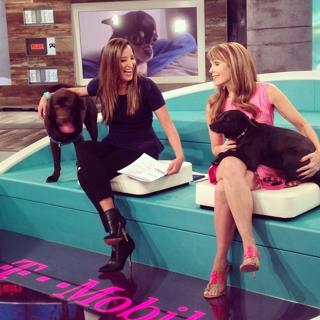 Christi Paul feet photo 8