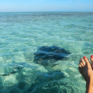 Christie Brinkley feet photo thumbnail