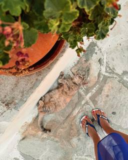 Christina Bompa feet photo thumbnail