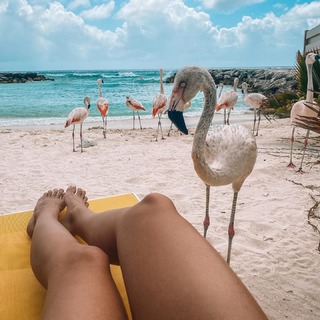 Christina Cindrich feet photo 5