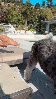 Christina Cindrich feet photo 6