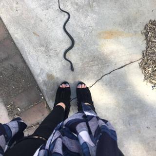 Christina Hall feet photo thumbnail