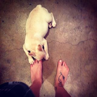 Christina Perri feet photo thumbnail