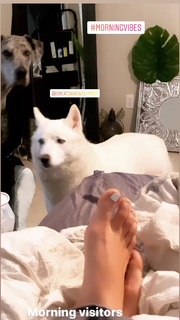 Christina Stewart feet photo 20