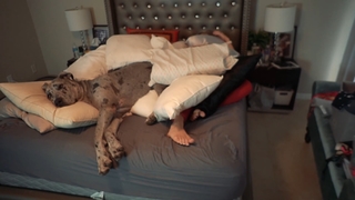 Christina Stewart feet photo 7