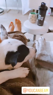 Christina Stewart feet photo 11