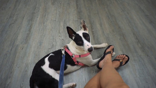 Christina Stewart feet photo 8