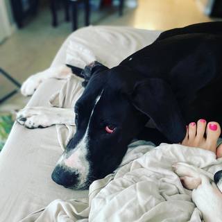 Christina Stewart feet photo 7
