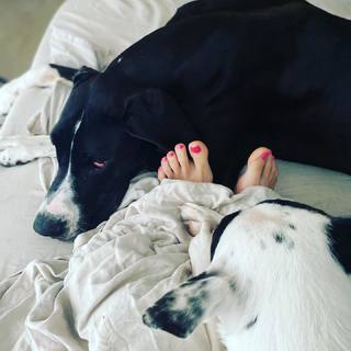Christina Stewart feet photo 6