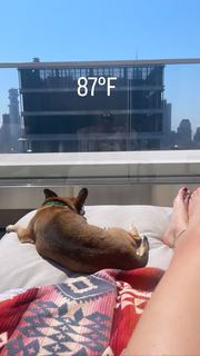 Christine Evangelista feet photo 16