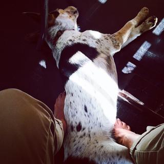 Christine Lakin feet photo thumbnail