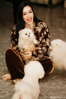 Christy Chung feet photo 1