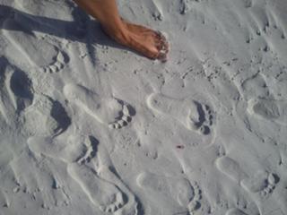 Chrystale Wilson feet photo 2