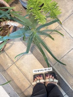 Chuu feet photo 20