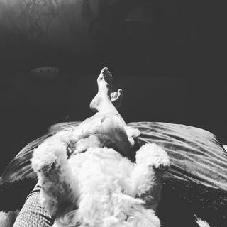 Chynna Phillips feet photo 15