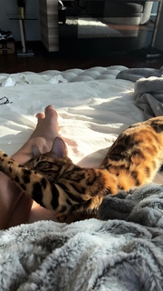Cindy Prado feet photo 16