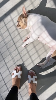 Cindy Tran feet photo thumbnail