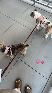 Cindy Tran feet photo thumbnail