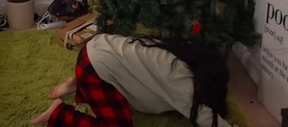 Cinnabrit feet photo thumbnail