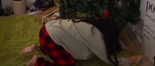 Cinnabrit feet photo thumbnail