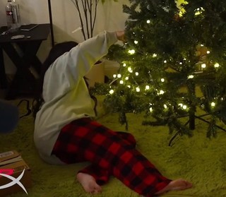 Cinnabrit feet photo thumbnail