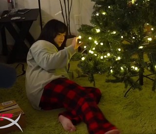 Cinnabrit feet photo thumbnail