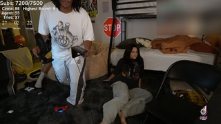 Cinnabrit feet photo thumbnail