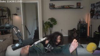 Cinnabrit feet photo thumbnail