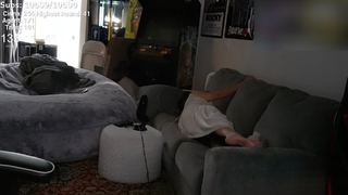Cinnabrit feet photo thumbnail