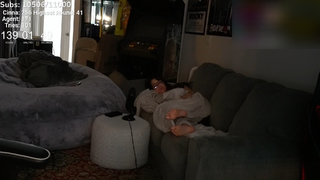 Cinnabrit feet photo thumbnail