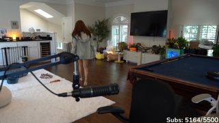 Cinnabrit feet photo thumbnail