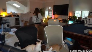 Cinnabrit feet photo thumbnail