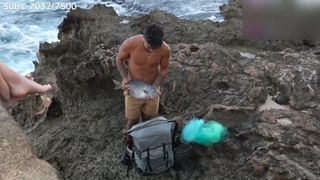 Cinnabrit feet photo thumbnail