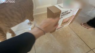 Cinnabrit feet photo thumbnail