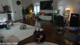Cinnabrit feet photo 14