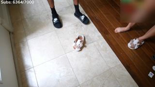 Cinnabrit feet photo 11