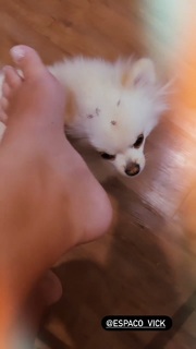 Cinthia Cruz feet photo 15