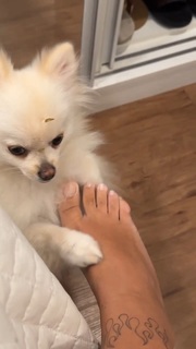 Cinthia Cruz feet photo 20