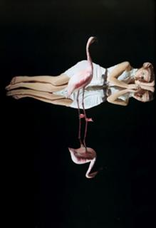 Cintia Dicker feet photo 20