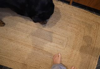 Clair Meek feet photo 15