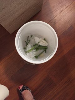 Claire Coffee feet photo thumbnail