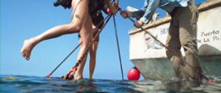 Claire Holt feet photo thumbnail