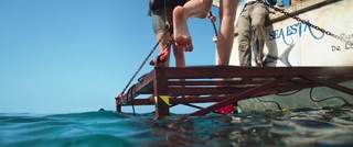 Claire Holt feet photo thumbnail
