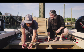 Claire Saffitz feet photo 13