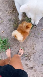 Clara Berry feet photo 7