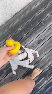 Clara Berry feet photo 4