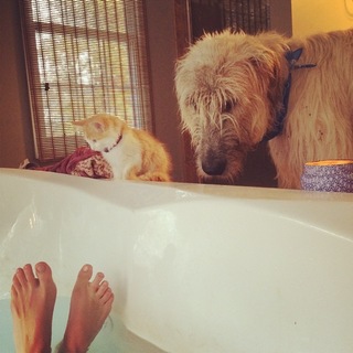 Clare Bowen feet photo 9